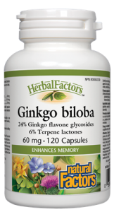 Ginkgo Biloba