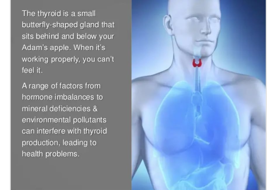 Full Panel Thyroid Test $450