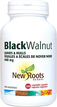 Black Walnut Green Hulls