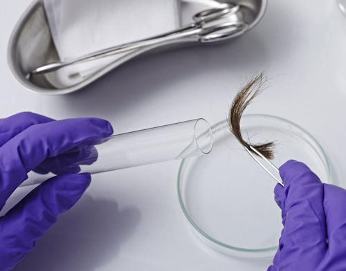 Hair Samples Lab Hair Sample Testing From $225 to 350 – Manotick's Natural Market